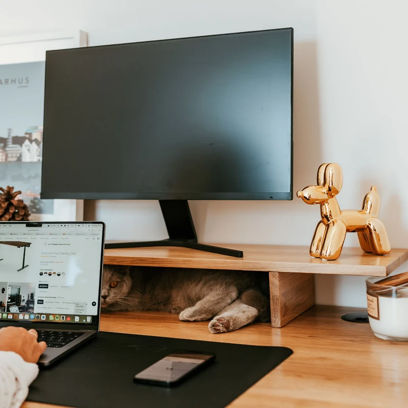 Large Monitor Stand