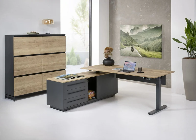 Bureau de direction ExecutiveDesk : prestige, ergonomie et performance