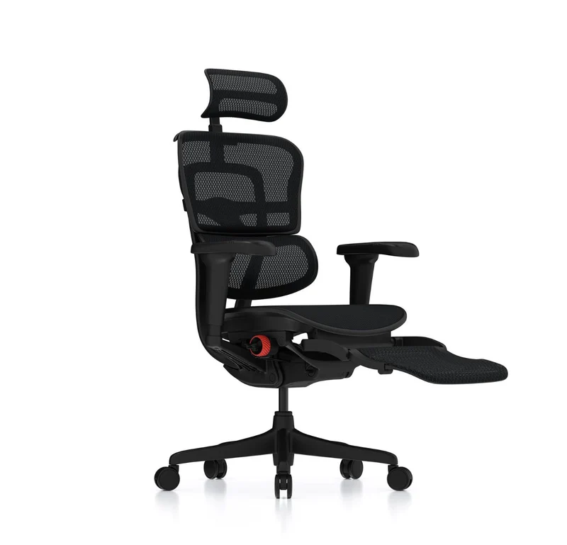 Siège de Bureau Ergohuman Home Office