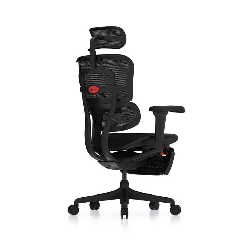 Siège de Bureau Ergohuman Home Office