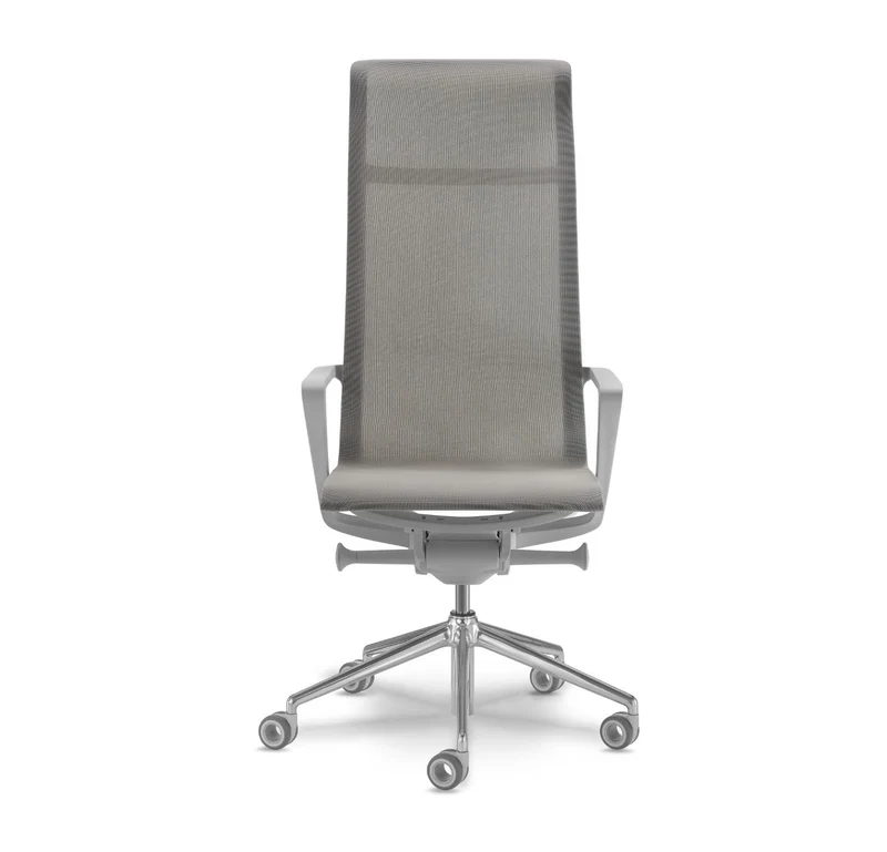 Fauteuil Younique (REX)