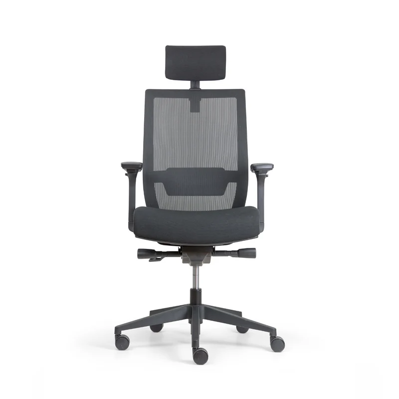 Fauteuil ergonomique de bureau - Giant