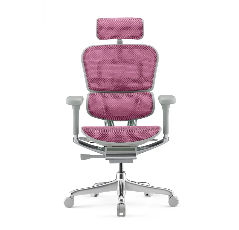 Fauteuil Ergonomique - ERGOHUMAN ELITE