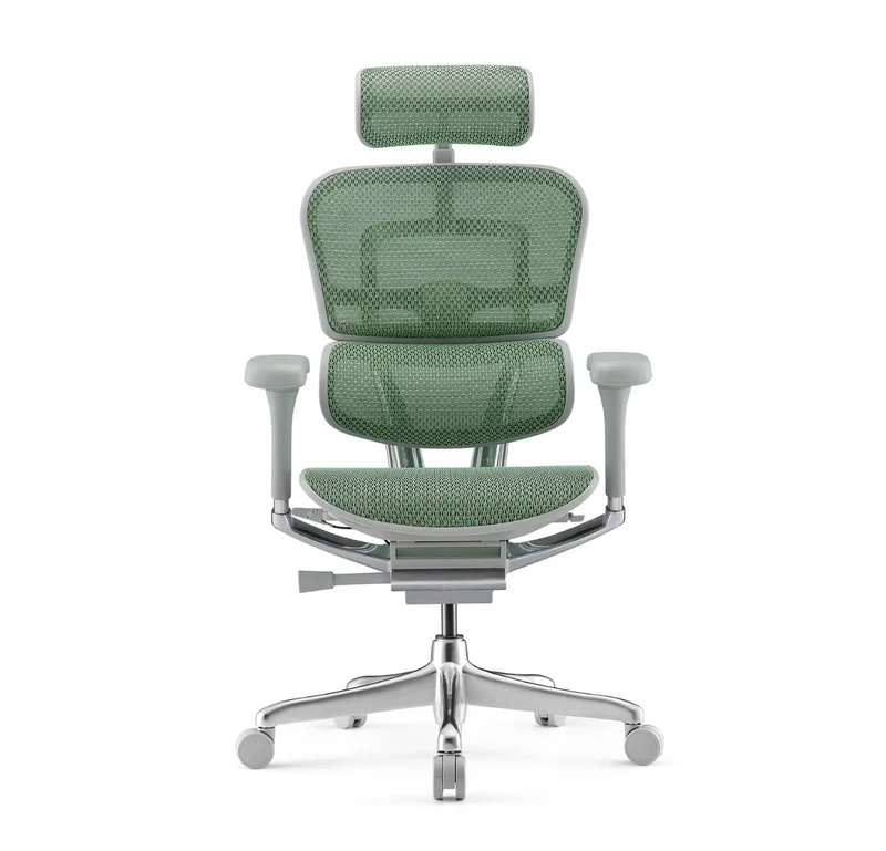 Fauteuil Ergonomique - ERGOHUMAN ELITE