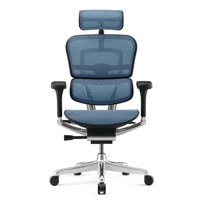Fauteuil Ergonomique - ERGOHUMAN ELITE