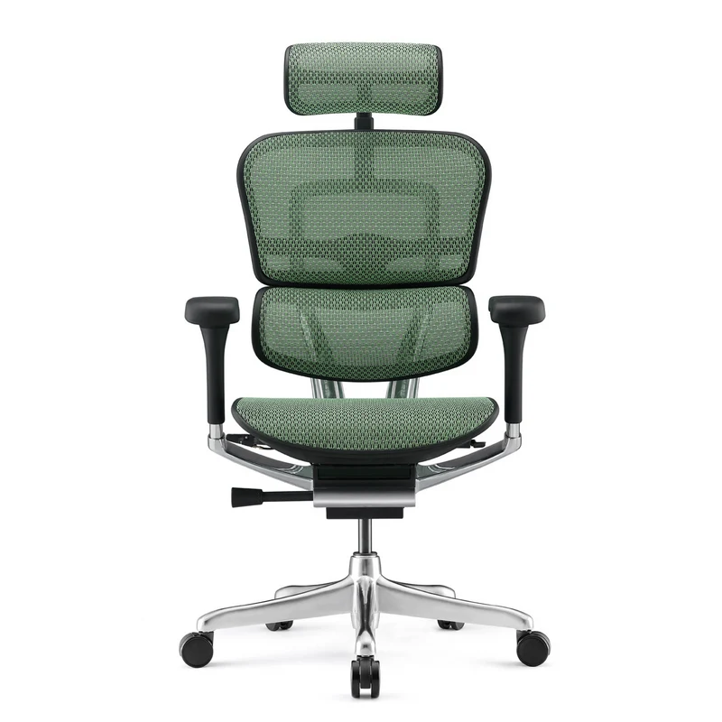 Fauteuil Ergonomique - ERGOHUMAN ELITE