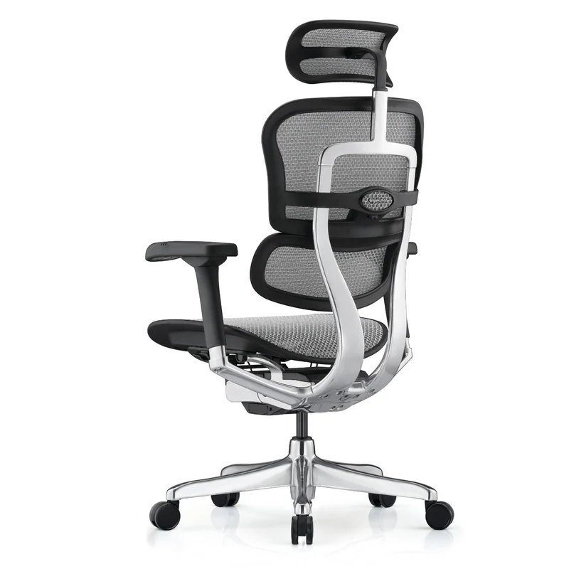 Fauteuil Ergonomique - ERGOHUMAN ELITE