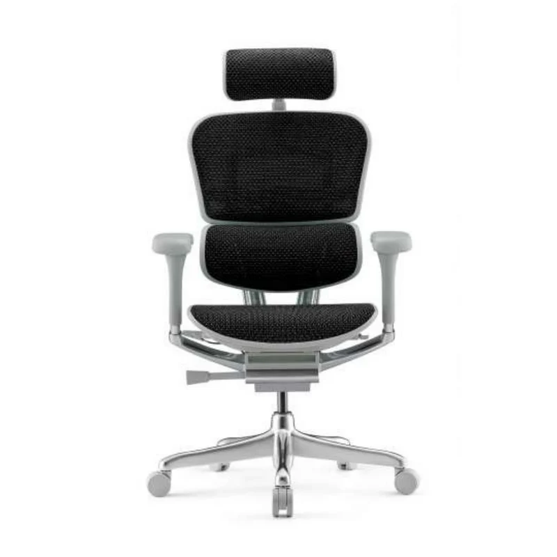 Fauteuil Ergonomique - ERGOHUMAN ELITE