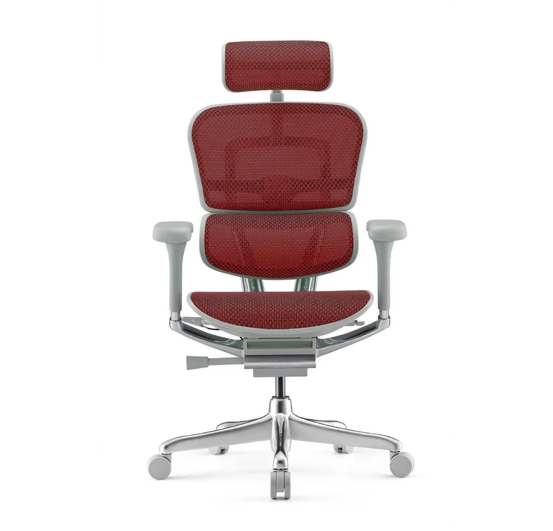 Fauteuil Ergonomique - ERGOHUMAN ELITE