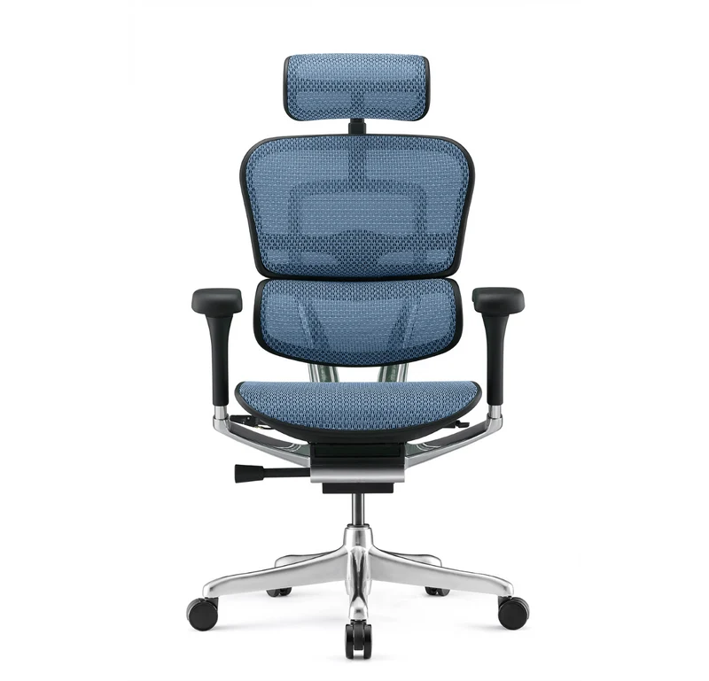 Fauteuil Ergonomique - ERGOHUMAN ELITE