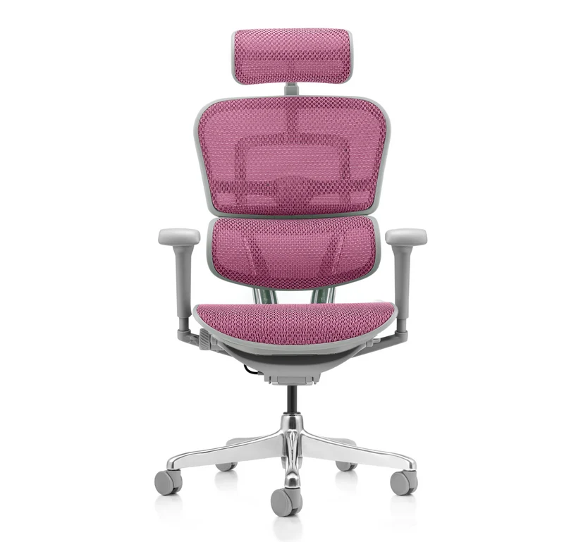 Fauteuil Ergonomique - ERGOHUMAN CLASSIQUE