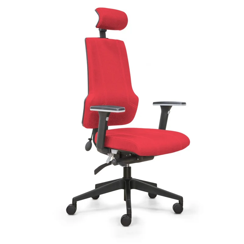 Fauteuil de bureau ergonomique - ERGOX