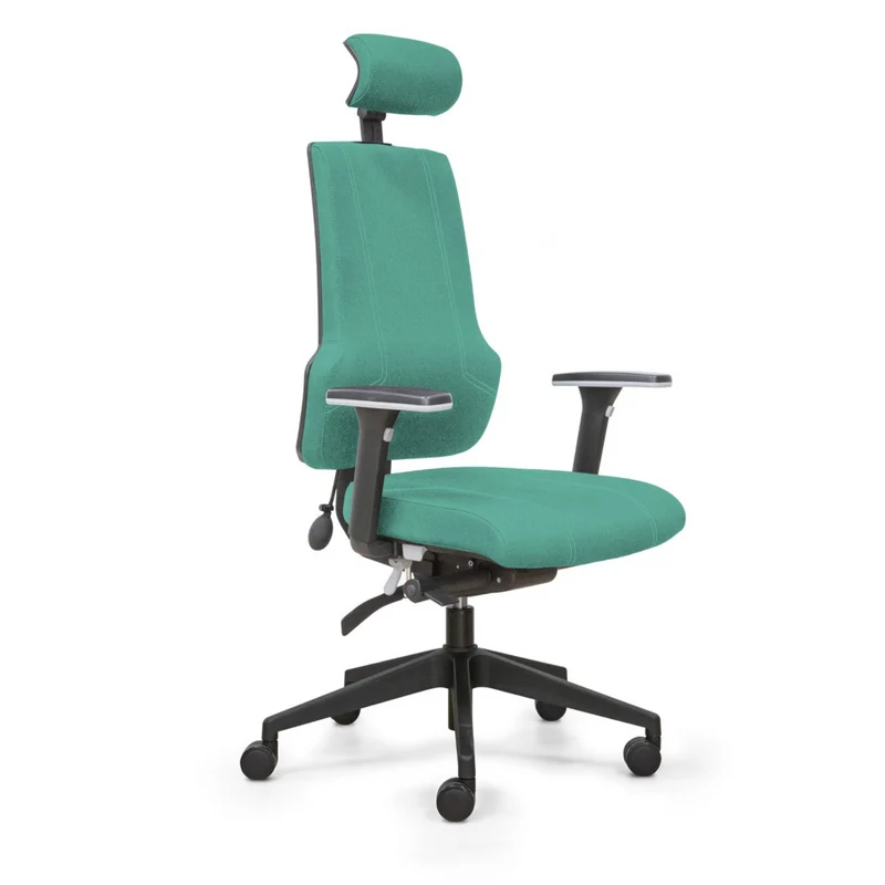 Fauteuil de bureau ergonomique - ERGOX