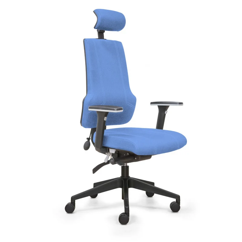 Fauteuil de bureau ergonomique - ERGOX