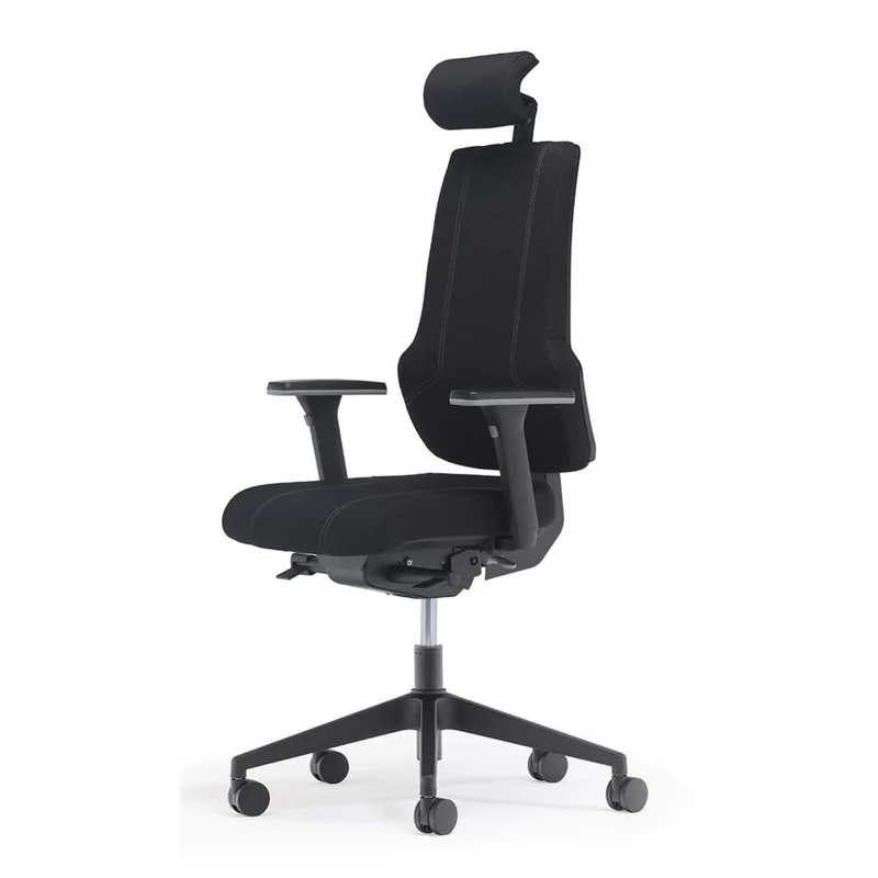 Fauteuil de bureau ergonomique - ERGOX