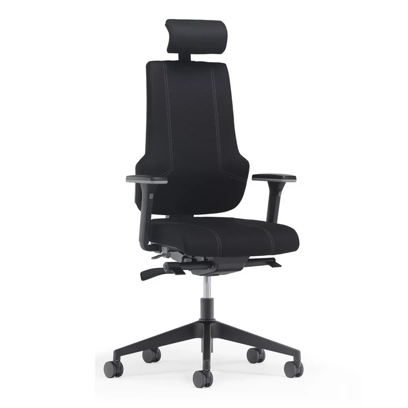 Fauteuil de bureau ergonomique - ERGOX