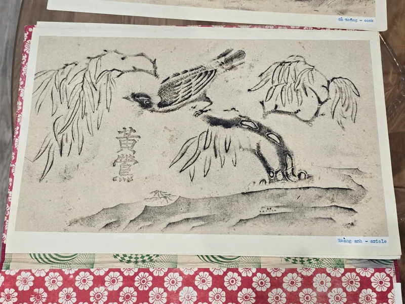 Album ancien de frottages vietnamiens – Bas-reliefs des Cửu Đỉnh (Huế) – Série complète d’oiseaux – Rubbings traditionnels
