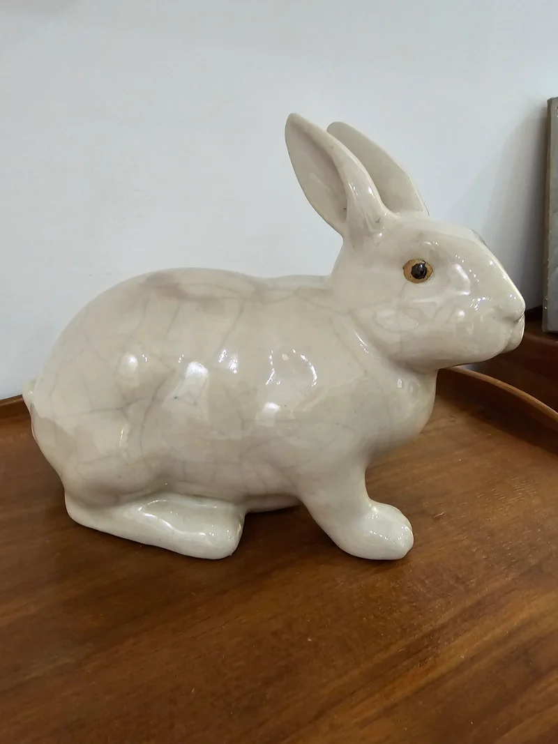 Lapin en faillance craquelé