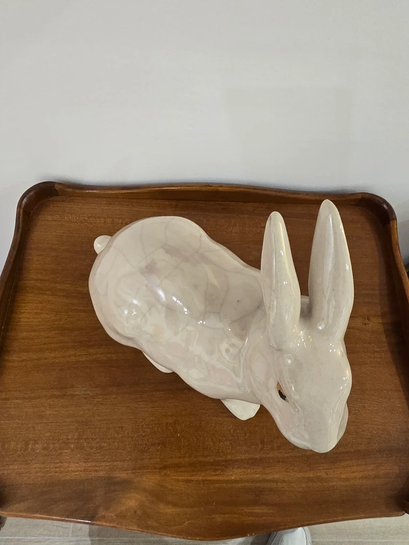Lapin en faillance craquelé