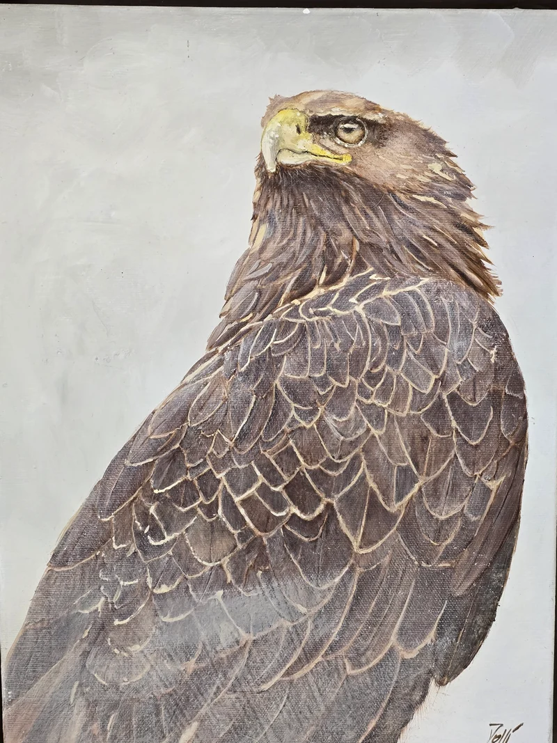 Tableau Aigle royale - GR