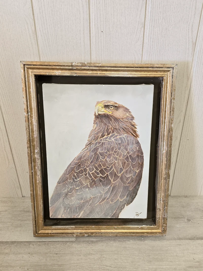 Tableau Aigle royale - GR