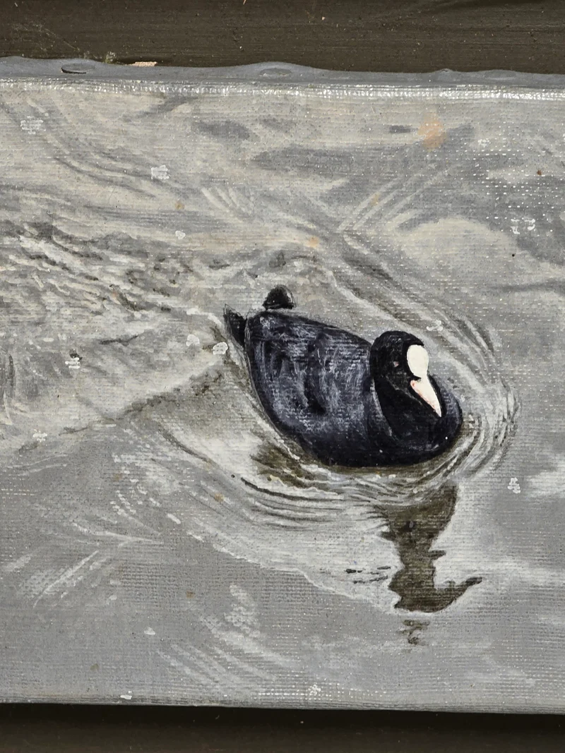 Tableau Poule d’eau - GR