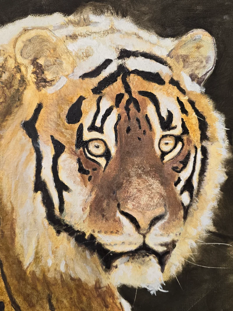 Tableau tigre - GR