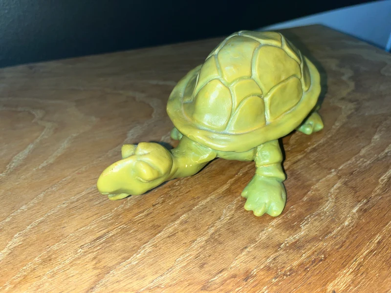 Tortue