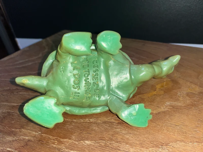 Tortue