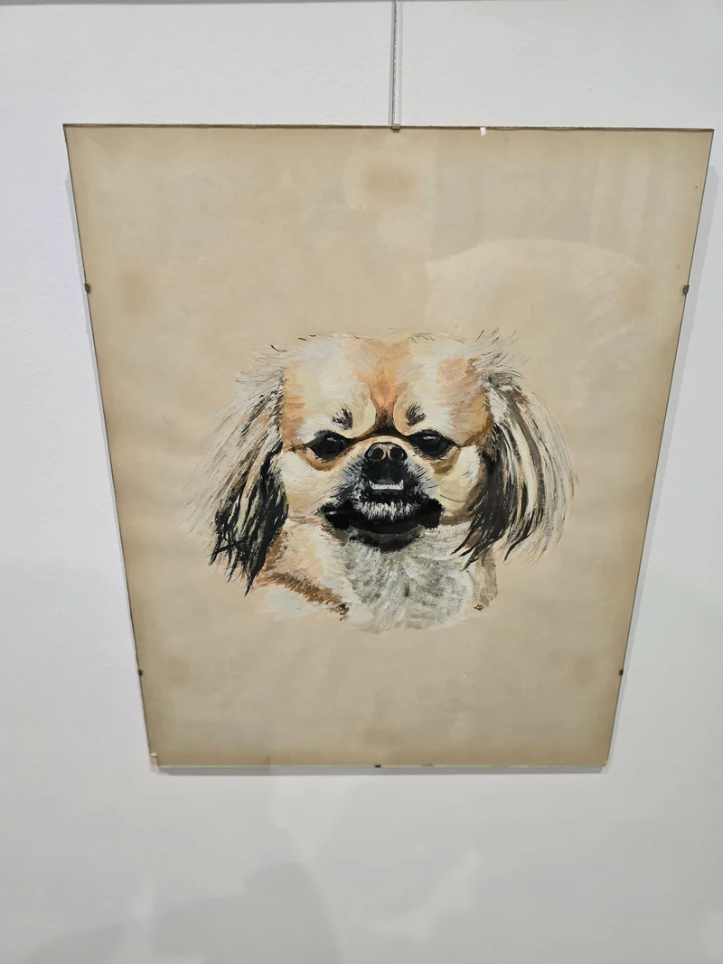 Tableau vitré chien