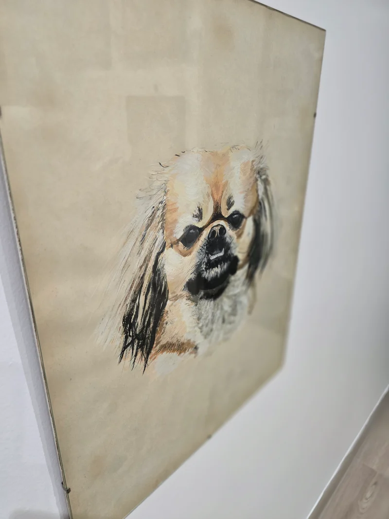 Tableau vitré chien