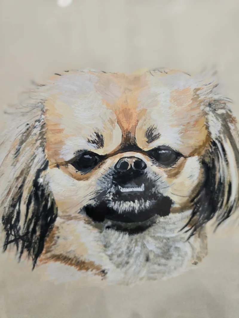 Tableau vitré chien