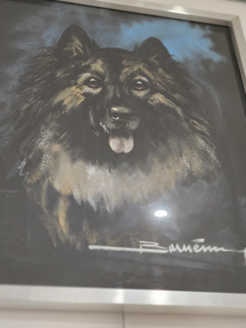 Tableau vitré chien bergé signé