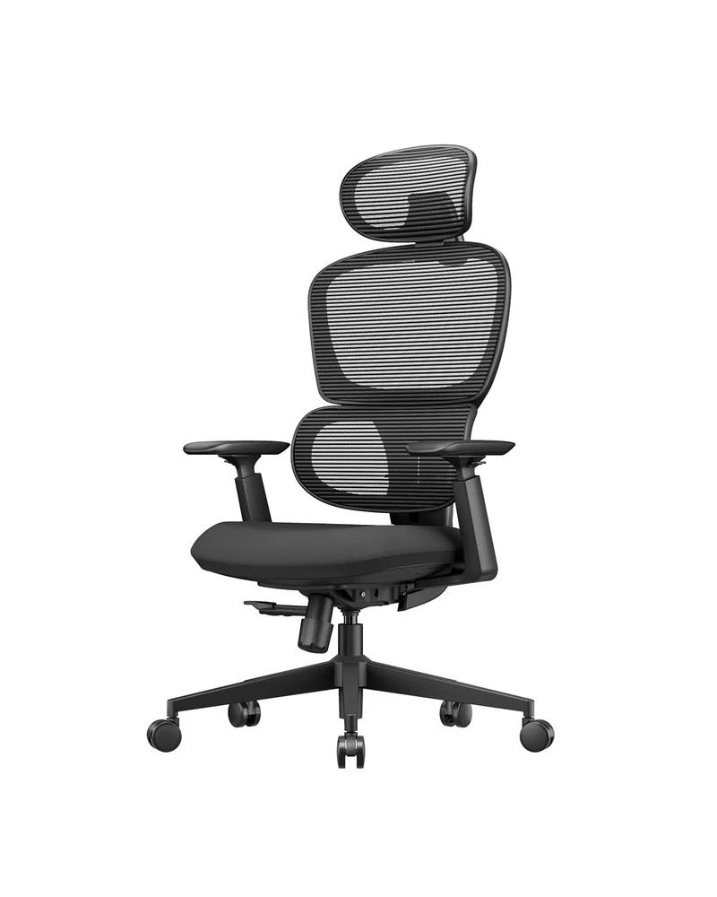 EC300 Ergonomic Office Chair