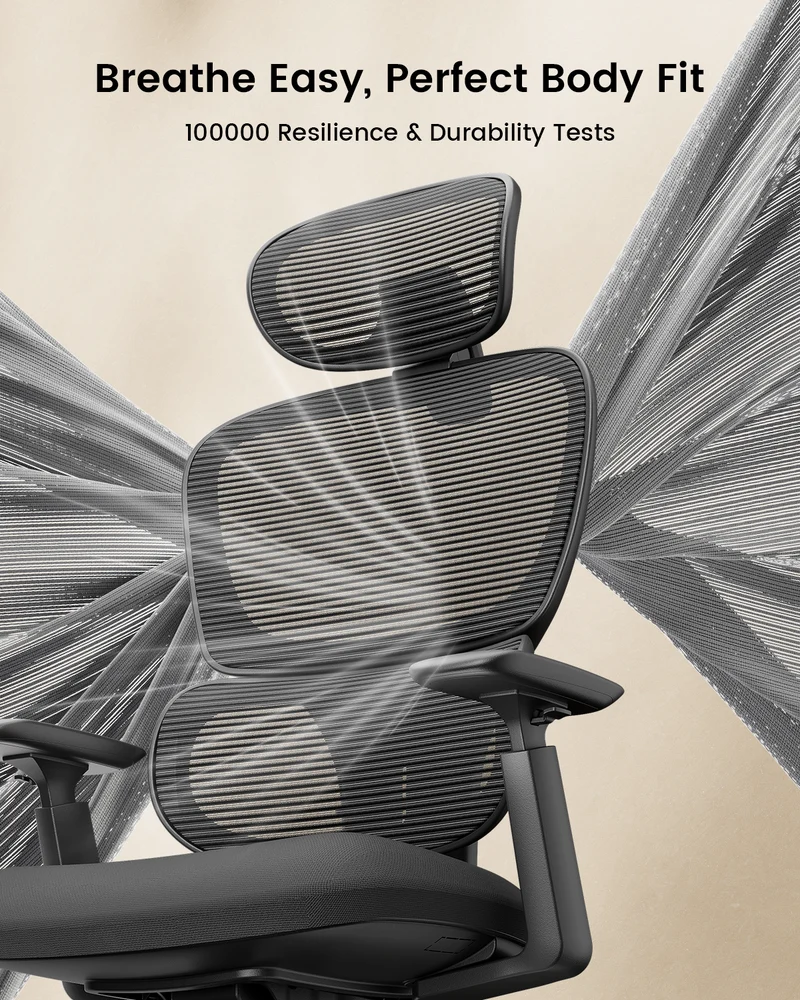 EC300 Ergonomic Office Chair