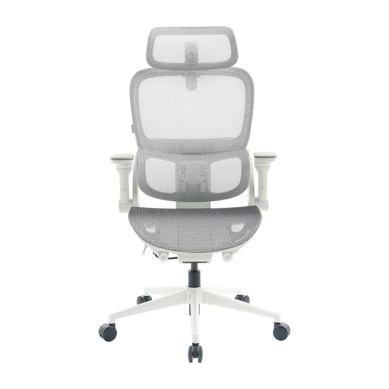 B300 Pro Chaise de bureau ergonomique