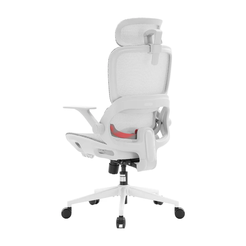 Sihoo B100 Chaise de bureau ergonomique avec accoudoirs relevables