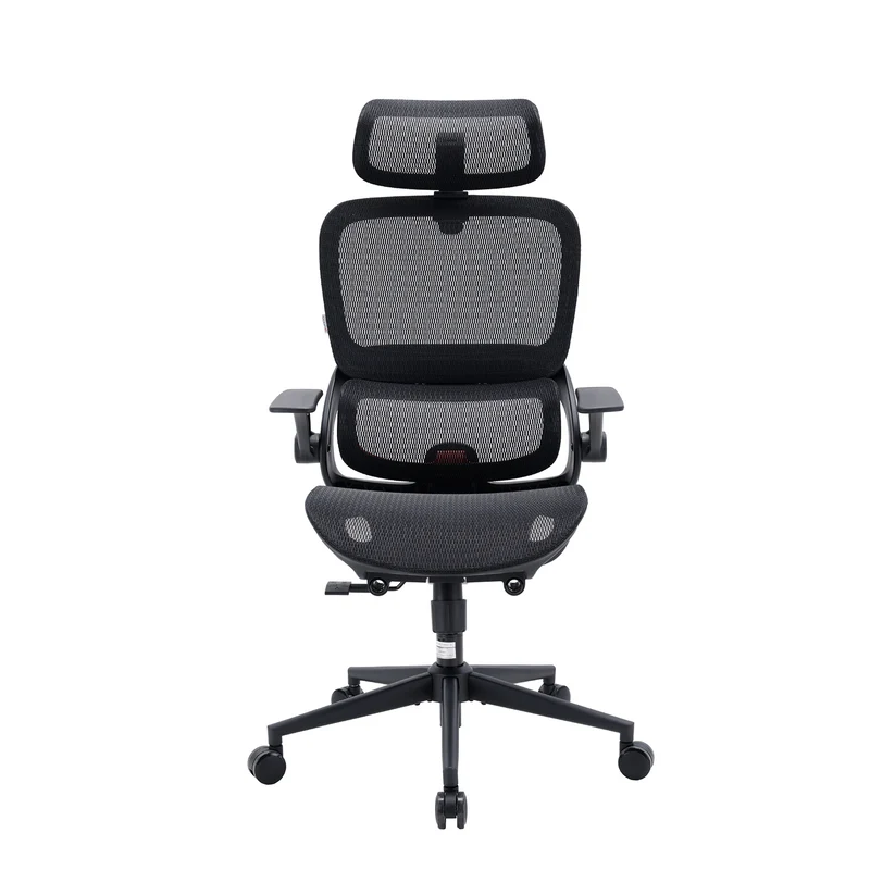Sihoo B100 Chaise de bureau ergonomique avec accoudoirs relevables