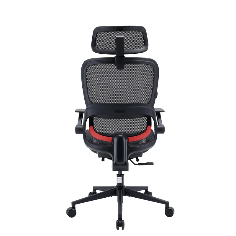 Sihoo B100 Chaise de bureau ergonomique avec accoudoirs relevables