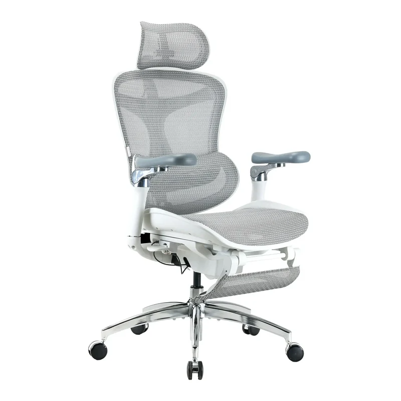 Doro C300 Pro Chaise de bureau ergonomique