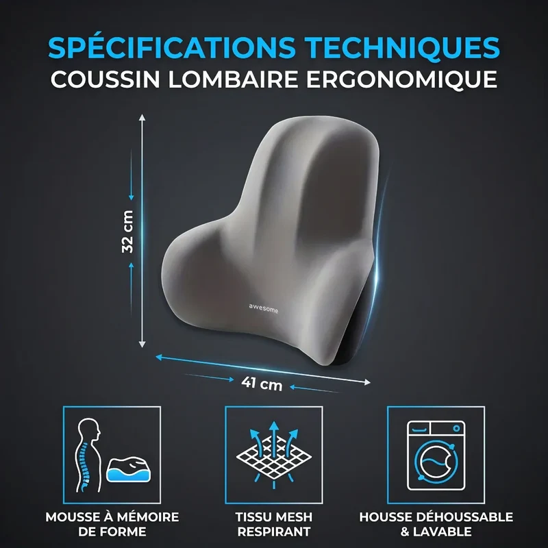 Coussin Lombaire Ergonomique MorphoSpine Pro : Mousse à Mémoire de Forme HD - Soulagement & Posture