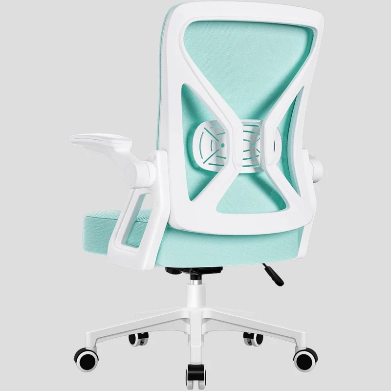 Chaise Ergonomique de Bureau avec Support Lombaire Ajustable et Accoudoirs Relevables
