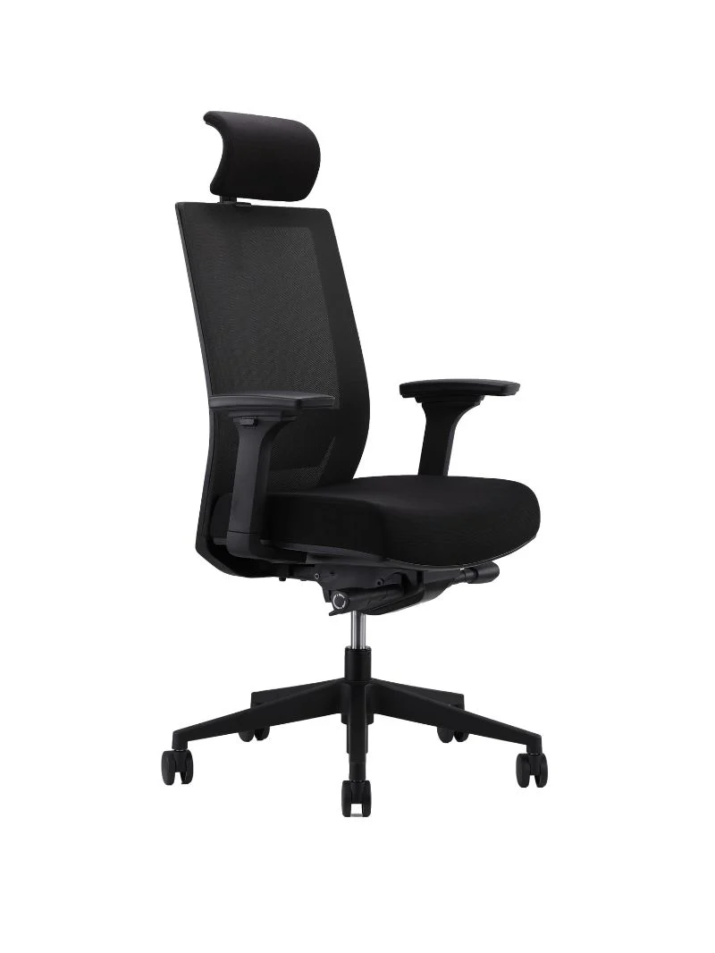 Chaise de Bureau Ergonomique | Ergoclim