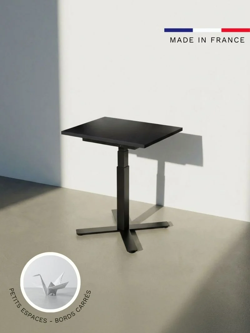 Bureau Assis Debout Electrique 80x60 | Mini Plus