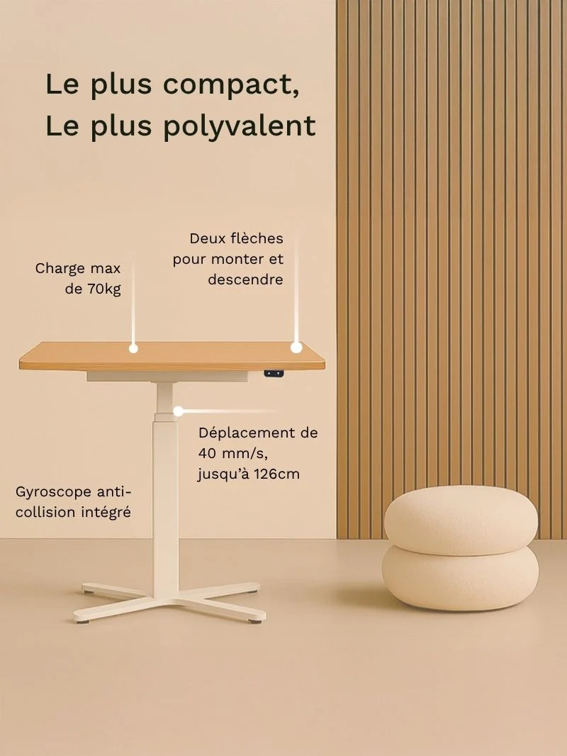 Mini Plus | Pieds de Bureau Électrique Réglable en Hauteur