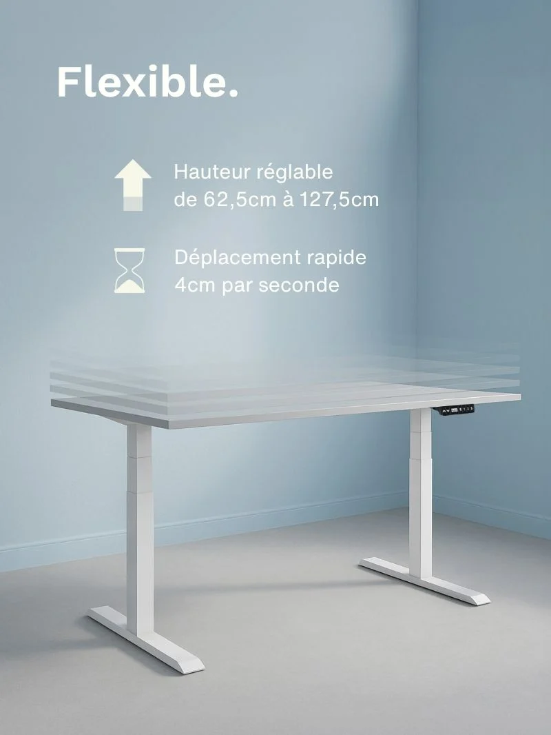 Advanced Go | Pieds de Bureau Électrique Réglable en Hauteur, Ports USB A & C