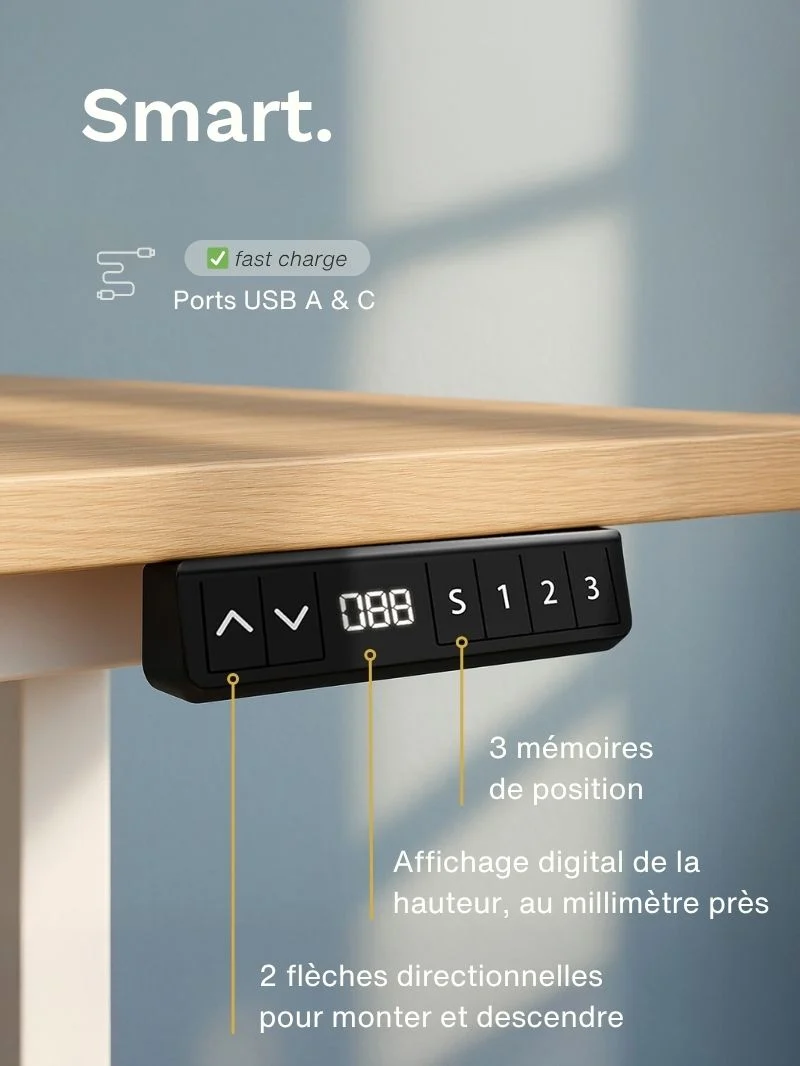 Advanced Go | Pieds de Bureau Électrique Réglable en Hauteur, Ports USB A & C