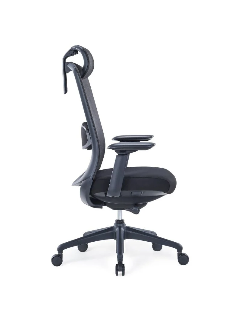 Chaise de Bureau Ergonomique | Modulo 1