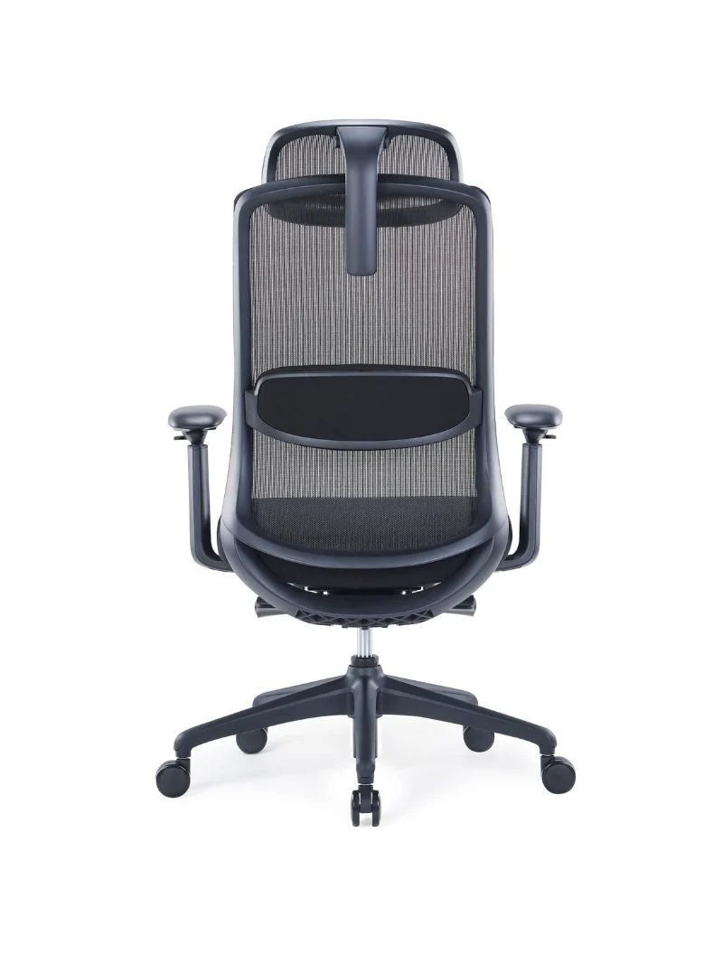 Chaise de Bureau Ergonomique | Modulo 1