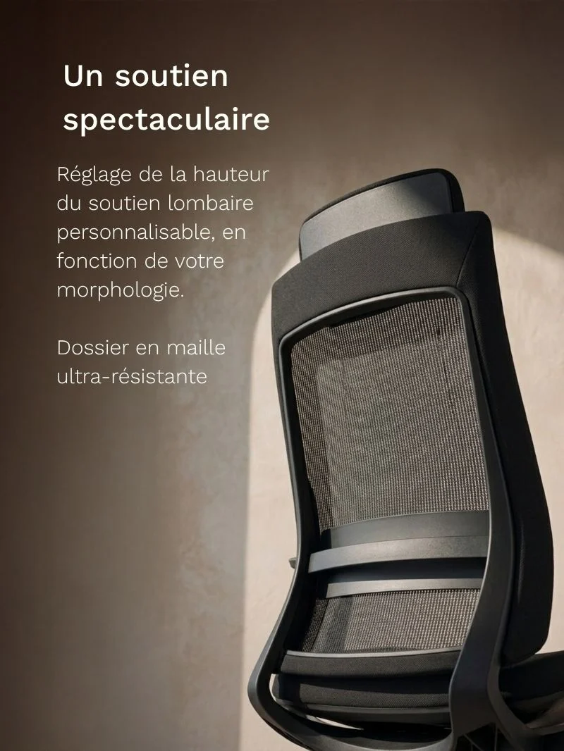 Chaise de Bureau Ergonomique | Synkro
